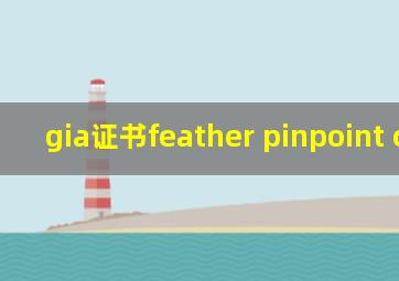 gia证书feather pinpoint cloud